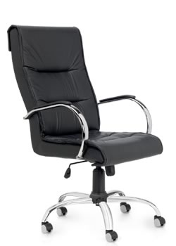 Ejecutivos y Directores