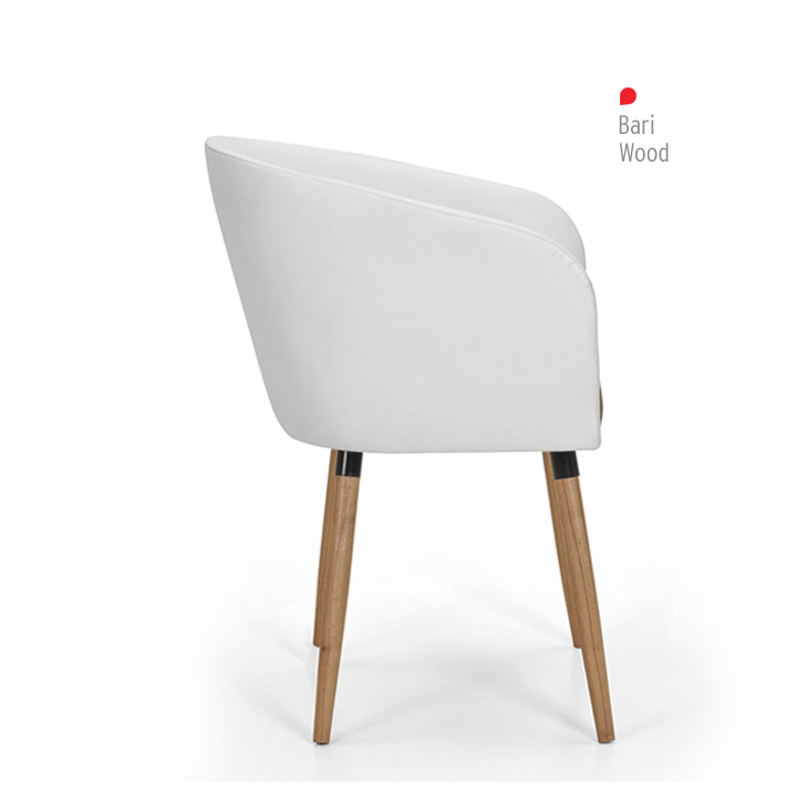 Bari Wood1