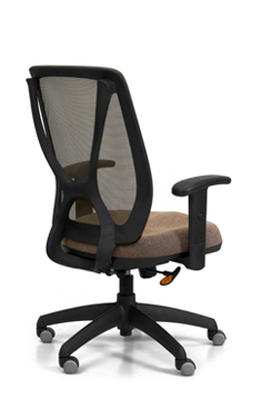 Alma perspectiva-atras